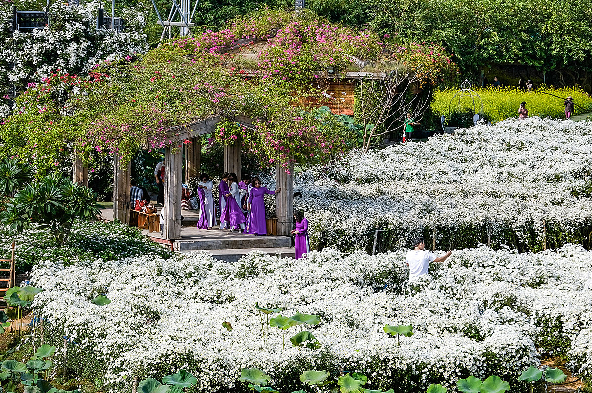 Where is West Lake Flower Valley?